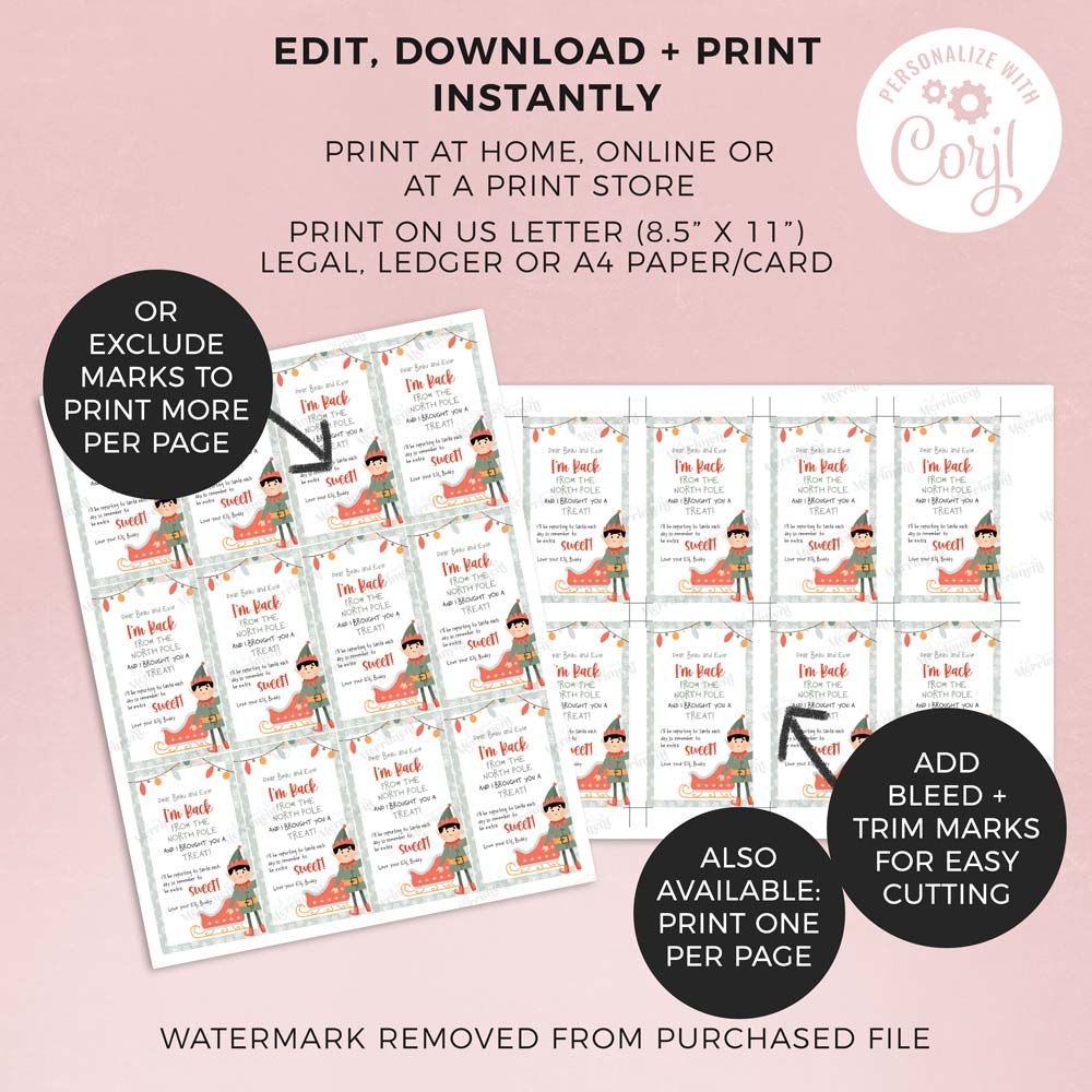 2 sheets of printed christmas elf return tags with features