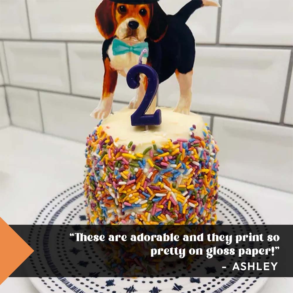customer review graphic of party dog printable cutout on cake with 2 candle