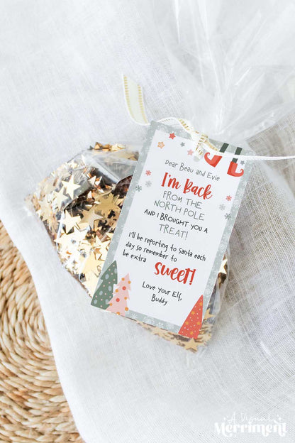 vertical elf on the shelf i’m back gift tag tied to bag of glitter sparkles
