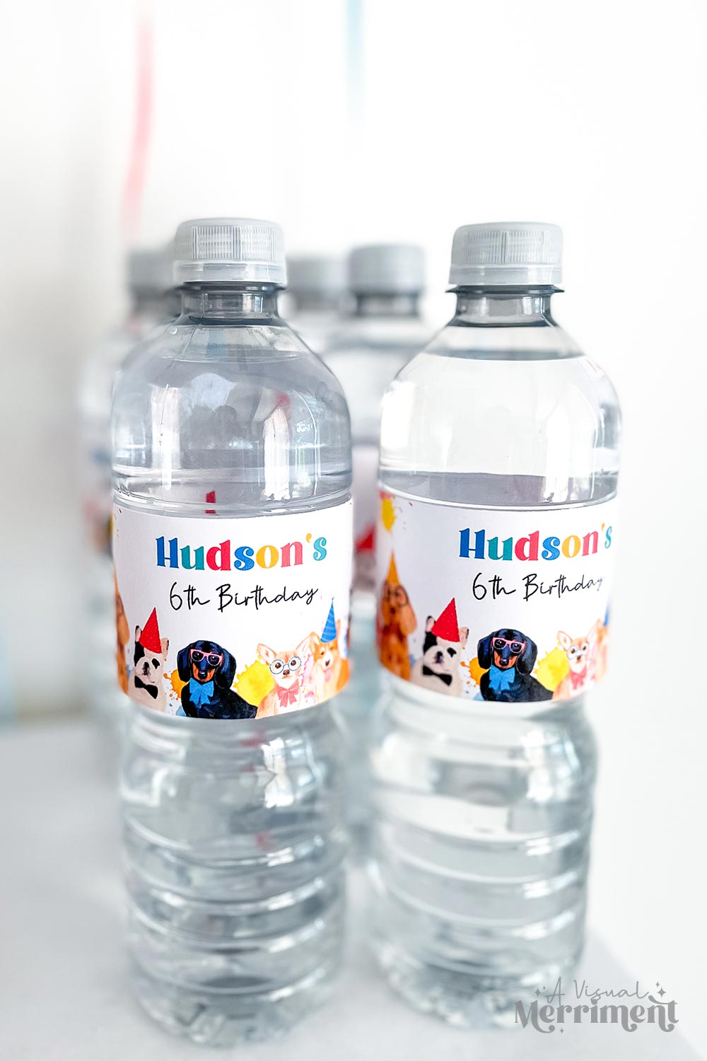 set of water bottles with hudson's 6th birthday labels and party dogs wearing hats.