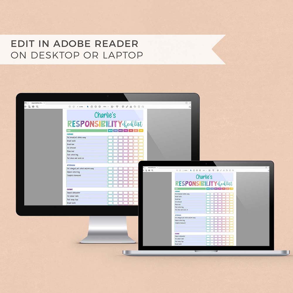 rainbow printable responsibility checklist on computer screens editing in adobe reader